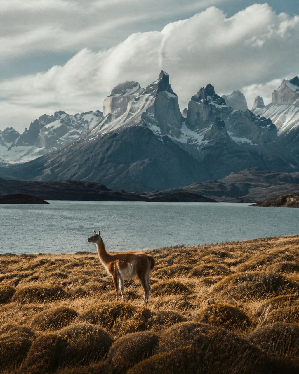 Patagonia — Chile · Argentina